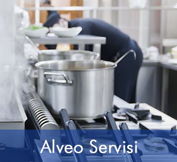 Alveo Servisi